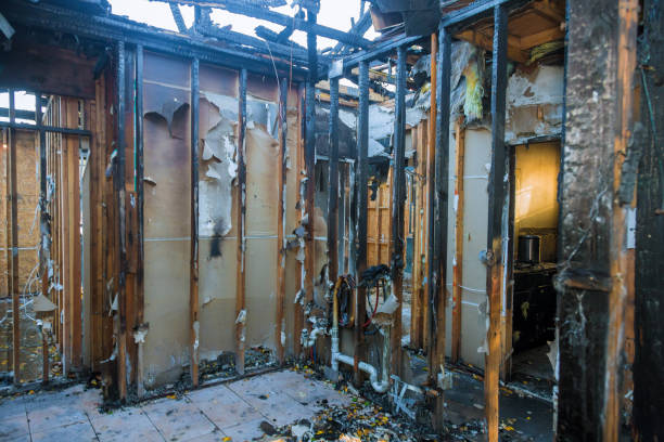 Professional Fire Damage Removal technician working in Crystal, MN